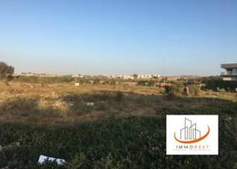 Terrain for vendre in Dar Bouazza - Casablanca