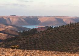 Terrain for vendre in Route Ain El Aouda - Ain El Aouda