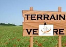 Terrain for vendre in Anfa - Casablanca