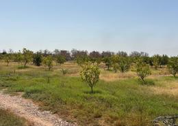 Terrain for vendre in Taroudant - Taroudant