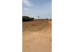 Terrain for vendre in Errahma - Casablanca