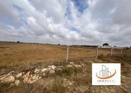 Terrain for vendre in Dar Bouazza - Casablanca