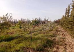 Terrain for vendre in Route d'Ourika - Marrakech