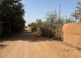 Terrain for vendre in sidi moussa lhamri - Taroudant