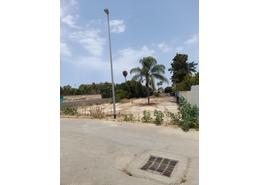 Terrain for vendre in Autre - Bouskoura