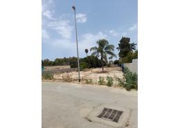 أرض for vendre in النخيل - الدار البيضاء