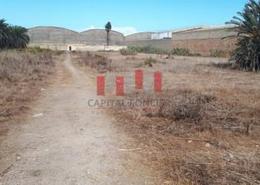 Terrain for vendre in Ain Sebaa - Casablanca